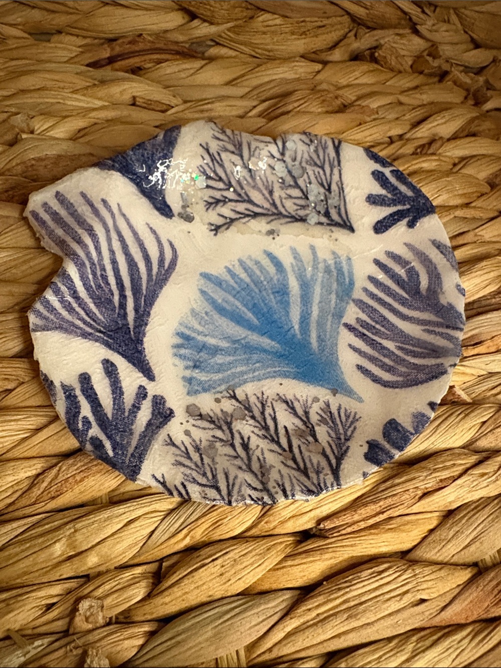 Hand Crafted Blue and White Decorative Coral Shell Dish